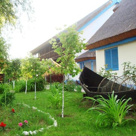 Casa Dintre Salcii Hotel Uzlina Luaran gambar